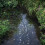 Chalk Streams 12