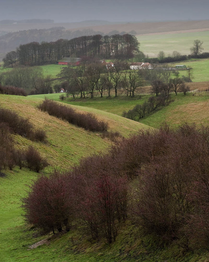 David Hockney and the Yorkshire Wolds On Landscape