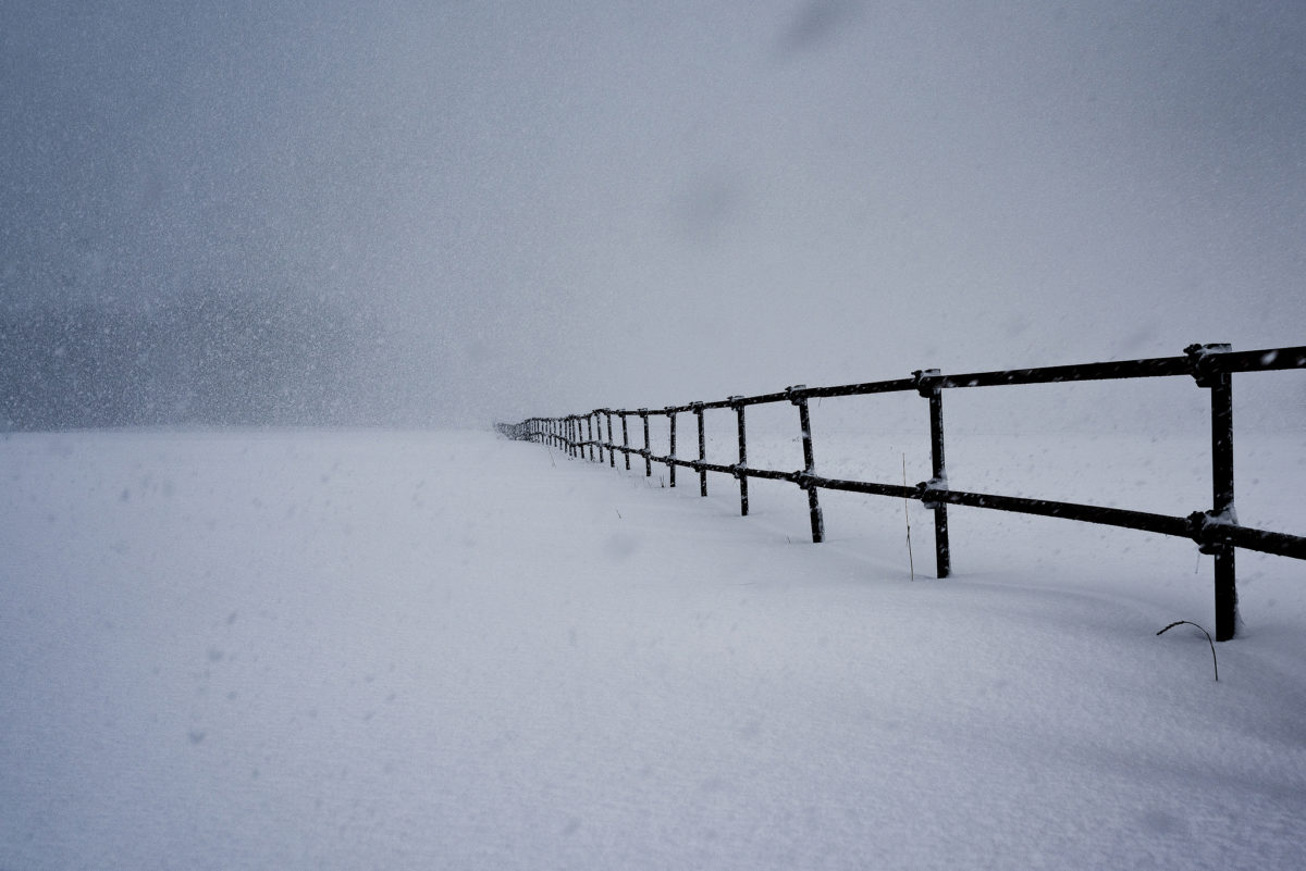 Nils Leonhardt | Spirit of Place | On Landscape