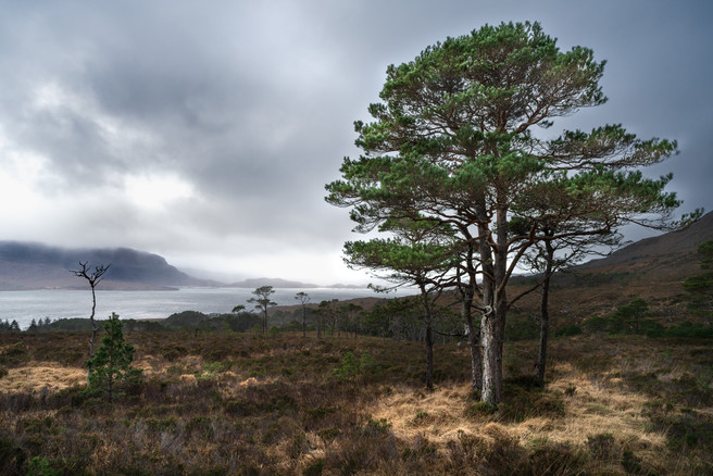 Last Light, Loch Torridon