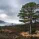 Last Light, Loch Torridon