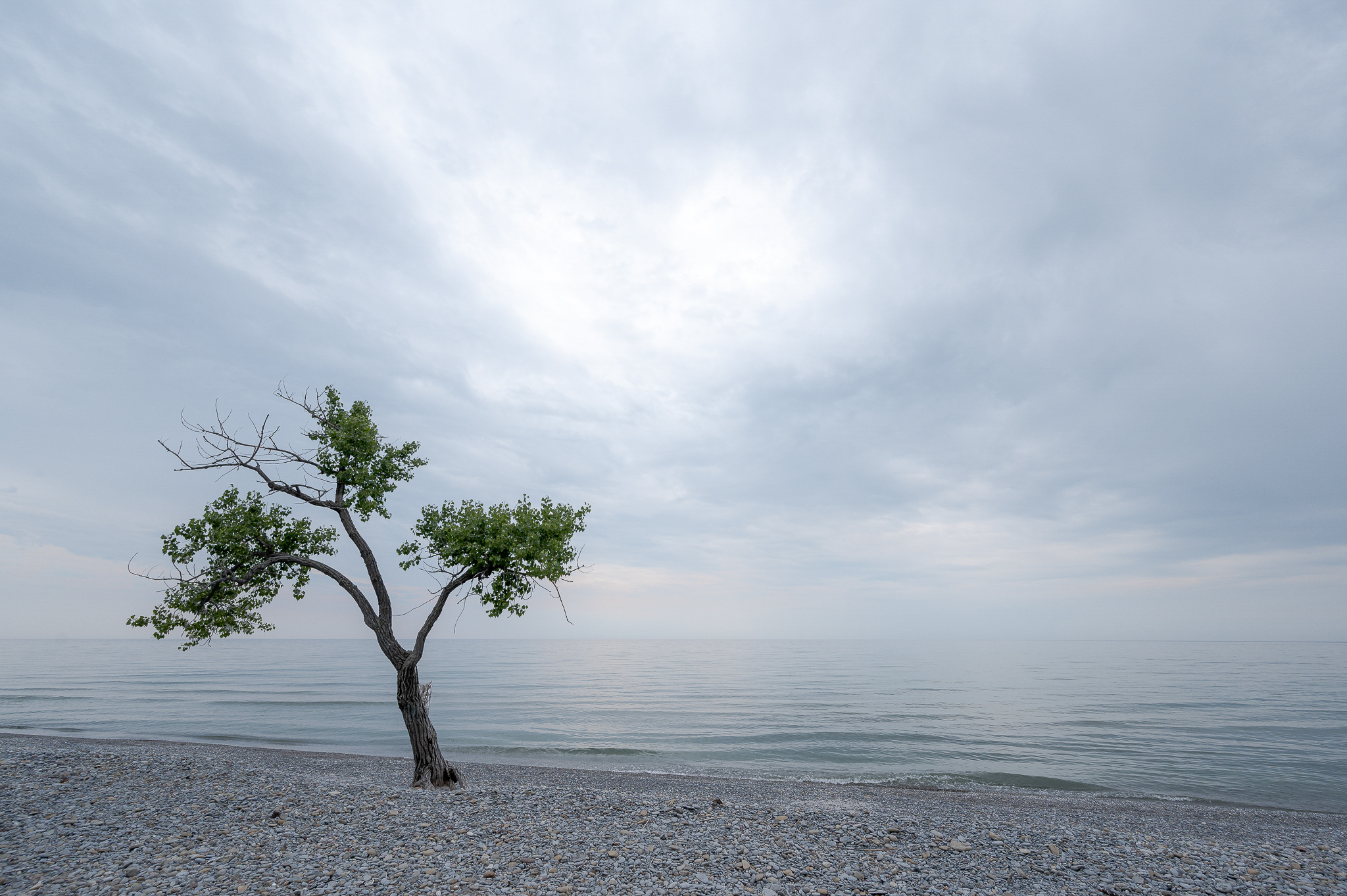 Lake Master | On Landscape