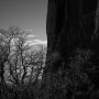 Garden Of The Gods