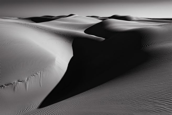 07.oceano Dunes #126, Ca, 2019