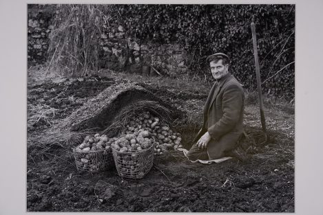 Chris Chapman, Joe White And His ‘teddie’ Pit, Batworthy Farm, Chagford, 1982 (dartmoor, Ramm, Exeter, 2024) © Chris Chapman, Victoria And Albert Museum, London