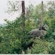 David Spero, ’the Longhouse’ Communal Space And Workshop (view From Old Kitchen Path), 2004 (dartmoor, Ramm, Exeter, 2024) © David Spero, Victoria And Albert Museum, London