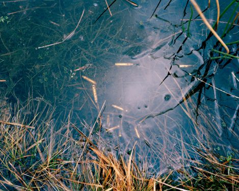 Nicholas Jr White, Bullet Casings From The Militarisation Of Dartmoor Series, 2013 (dartmoor, Ramm, Exeter, 2024) © Nicholas Jr White