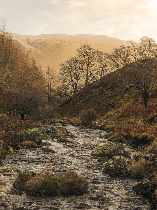 River Leading To Lake Vyrnwy