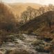 River Leading To Lake Vyrnwy