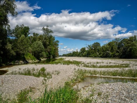 Verbliebene Wildflusslandschaft Am Lech Nördlich Von Augsburg