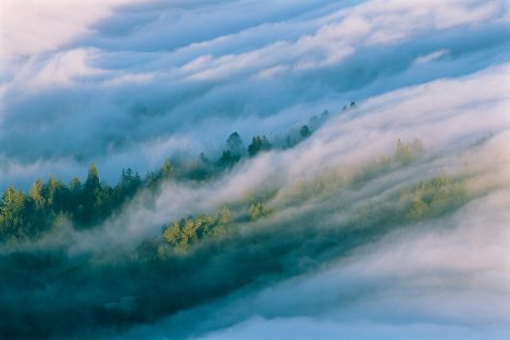 Afternoon Fog, Marin County Foothills