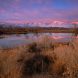 Winter Twilight From An Owens River Pond, Eastern Sierra