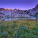 Lupine Meadow At Sunset, Sabrina Basin, Inyo National Forest