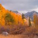 Surveyor’s Meadow And Vagabond Peak On A Fall Afternoon, Bisho