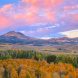 Fall Sunrise At Dunderberg Meadow, Eastern Sierra