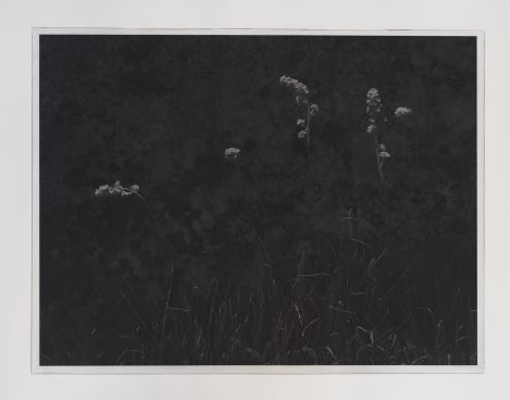 Photogravure 1